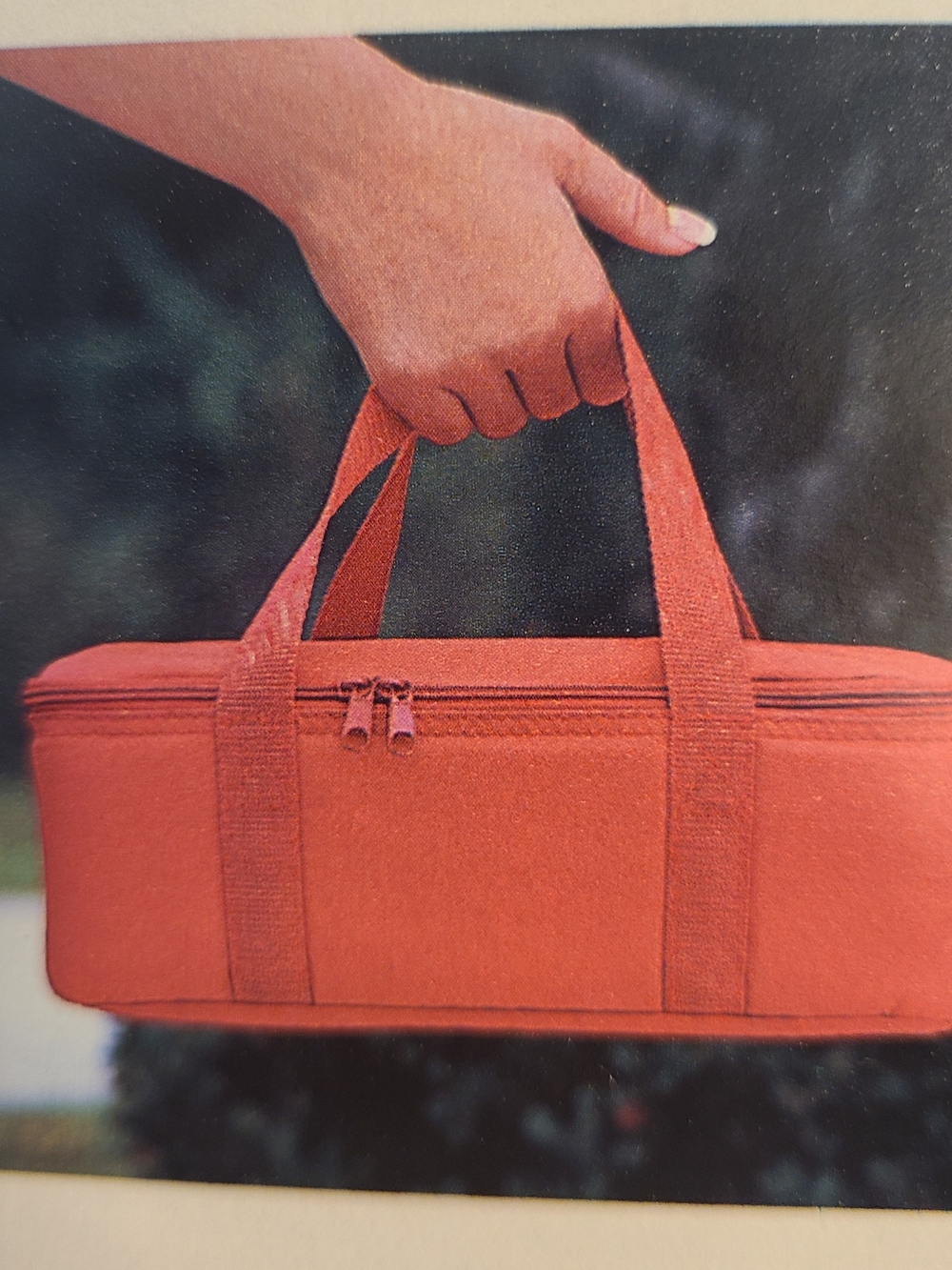 Red Zippered Carry Tote
